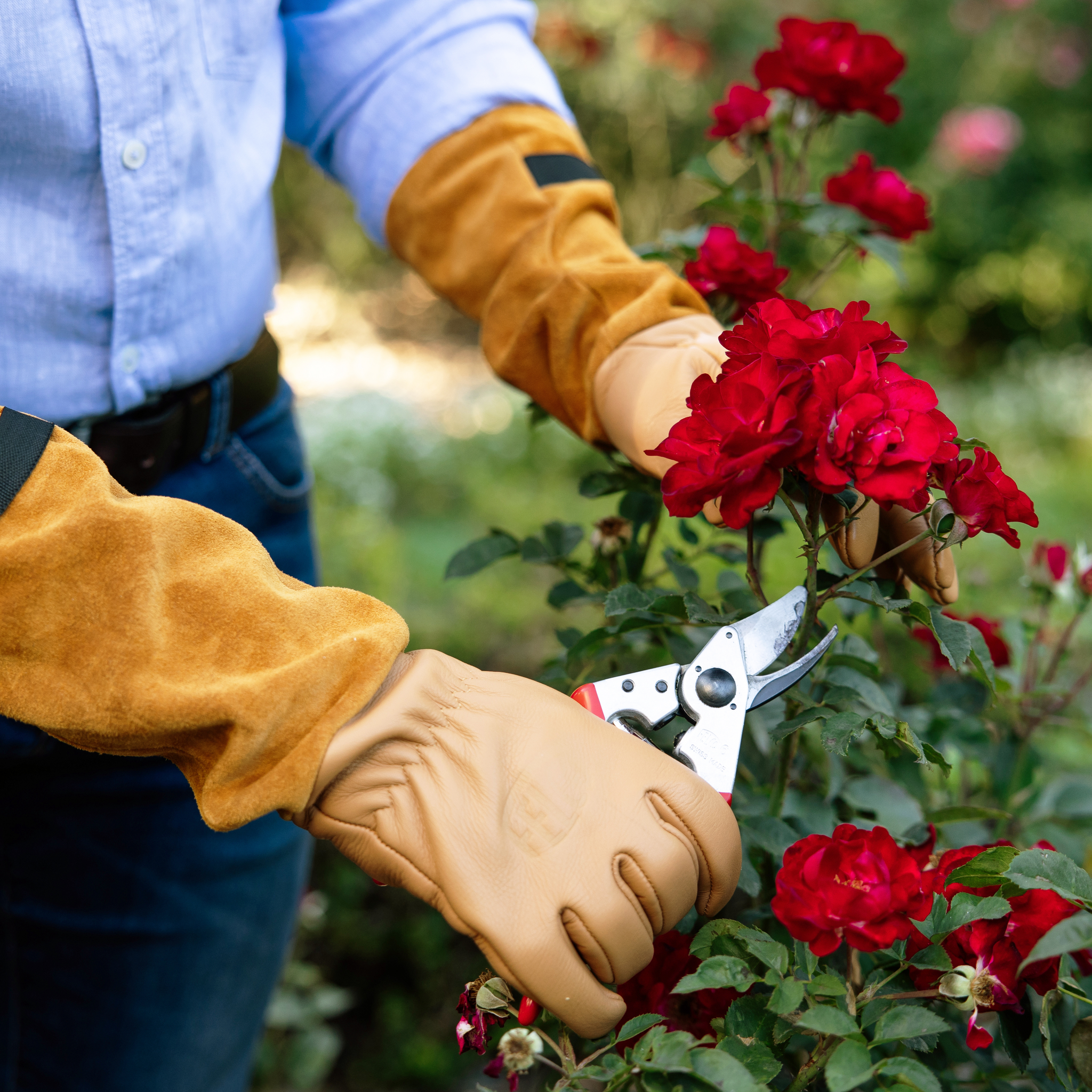 felco-705-gants-pour-roses-gants-de-taille-jardin image 2