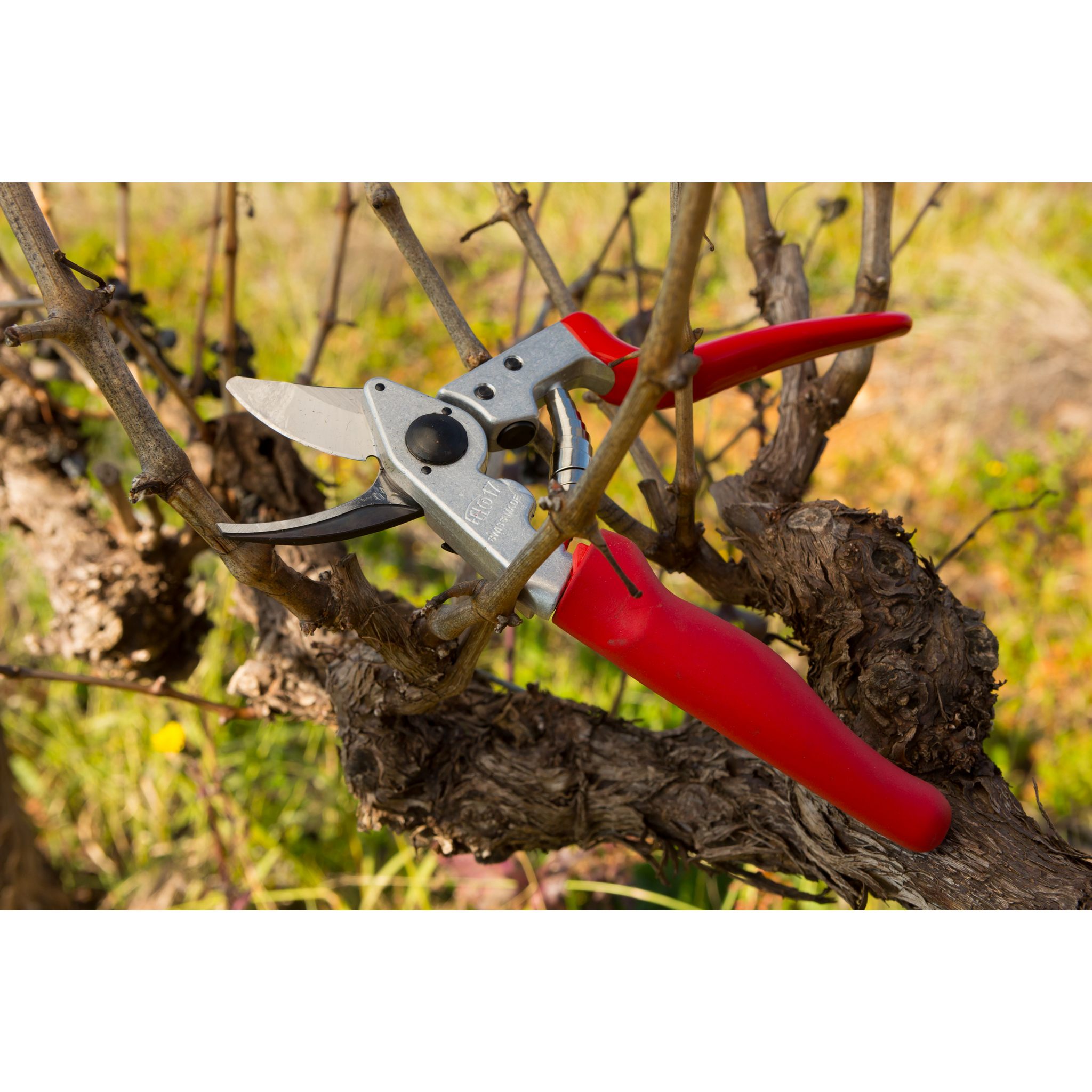 felco-17-s-cateur-une-main-pour-gaucher-poign-e-tournante image 3