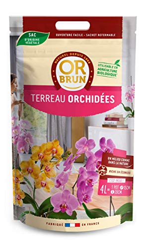 or-brun-p-re-fran-ois-terreau-orchid-es-4-l image 4