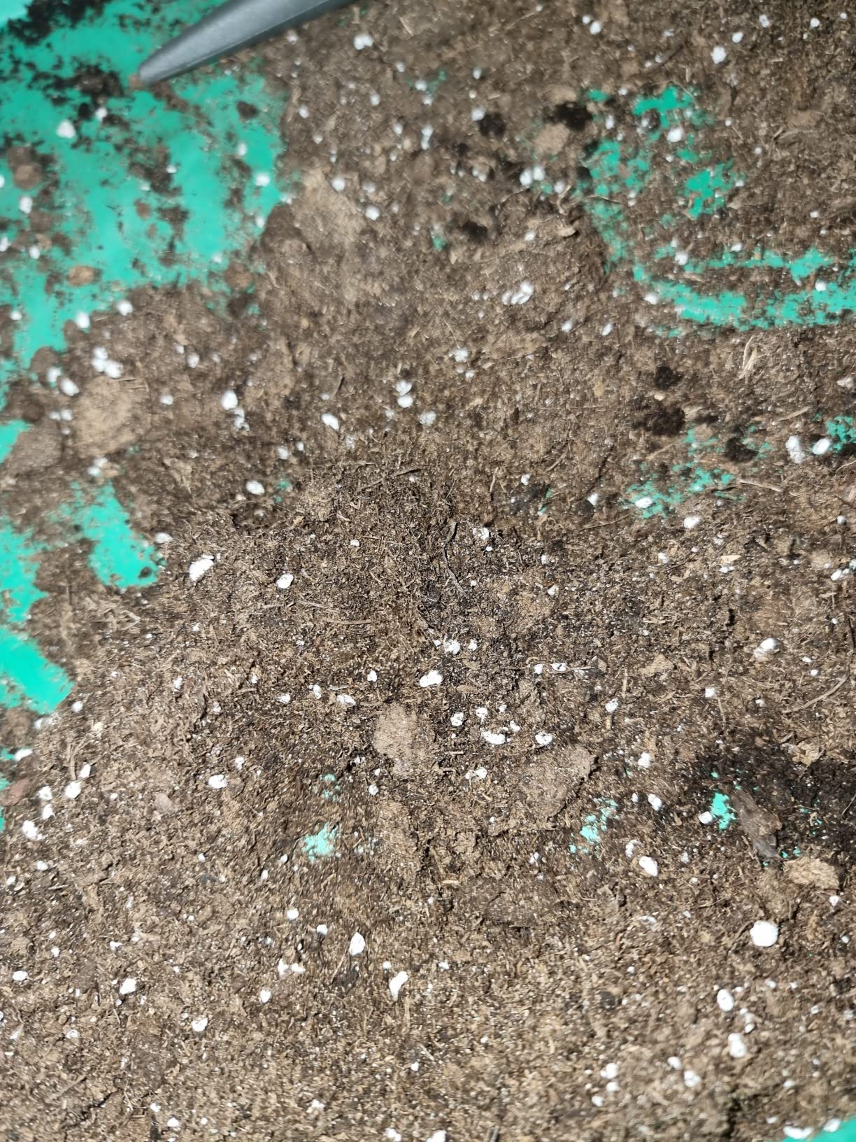 Semis parfaits