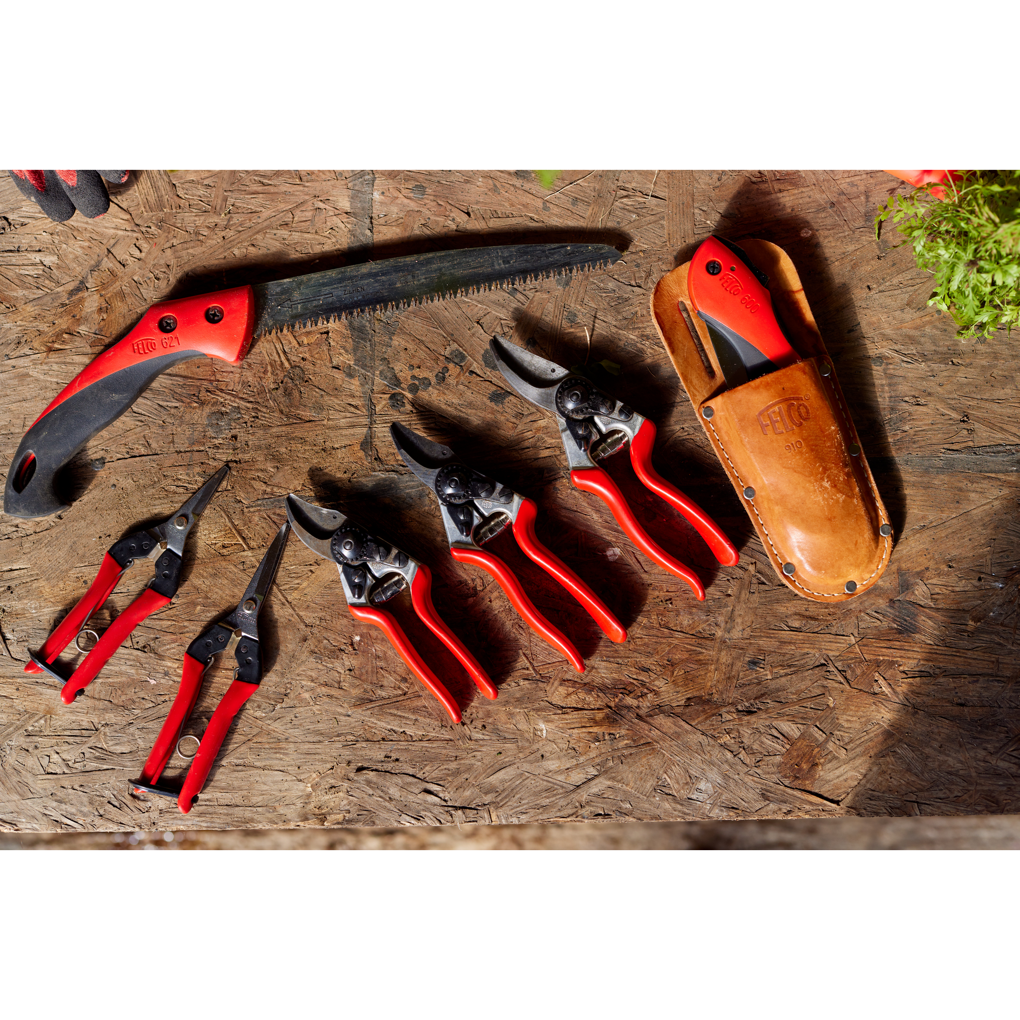 felco-621-scie-d-lagage-lame-effil-e-droite image 3