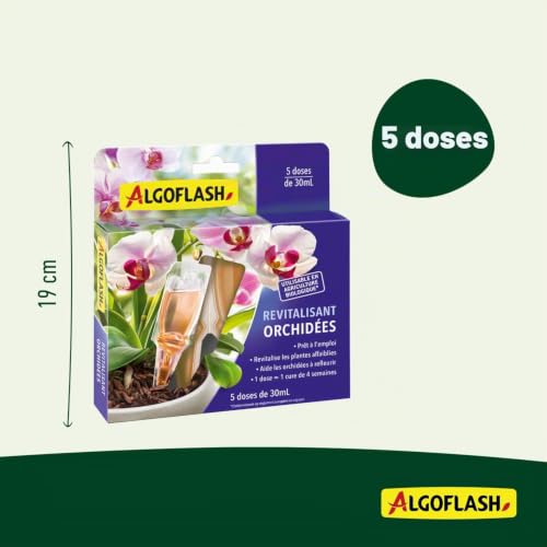 algoflash-monodose-revitalisante-orchid-es-5-x-30-ml image 8