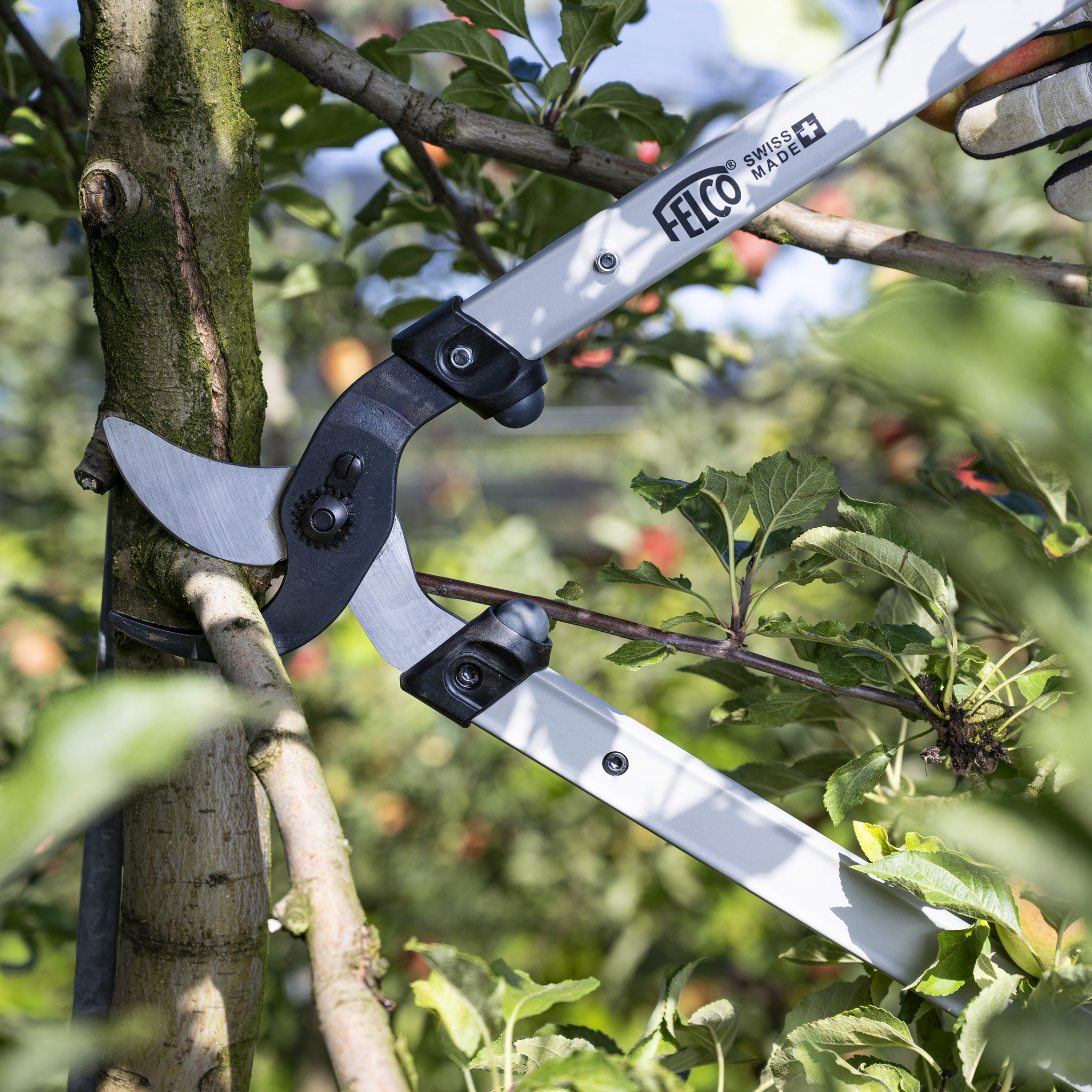 felco-221-80-coupe-branches-lame-incurv-e-t-te-de-coupe-80-cm image 3