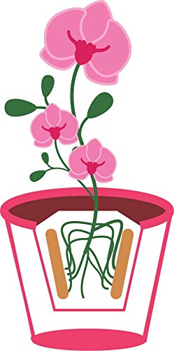 or-brun-engrais-b-tonnets-orchid-es-sachet-de-25 image 5