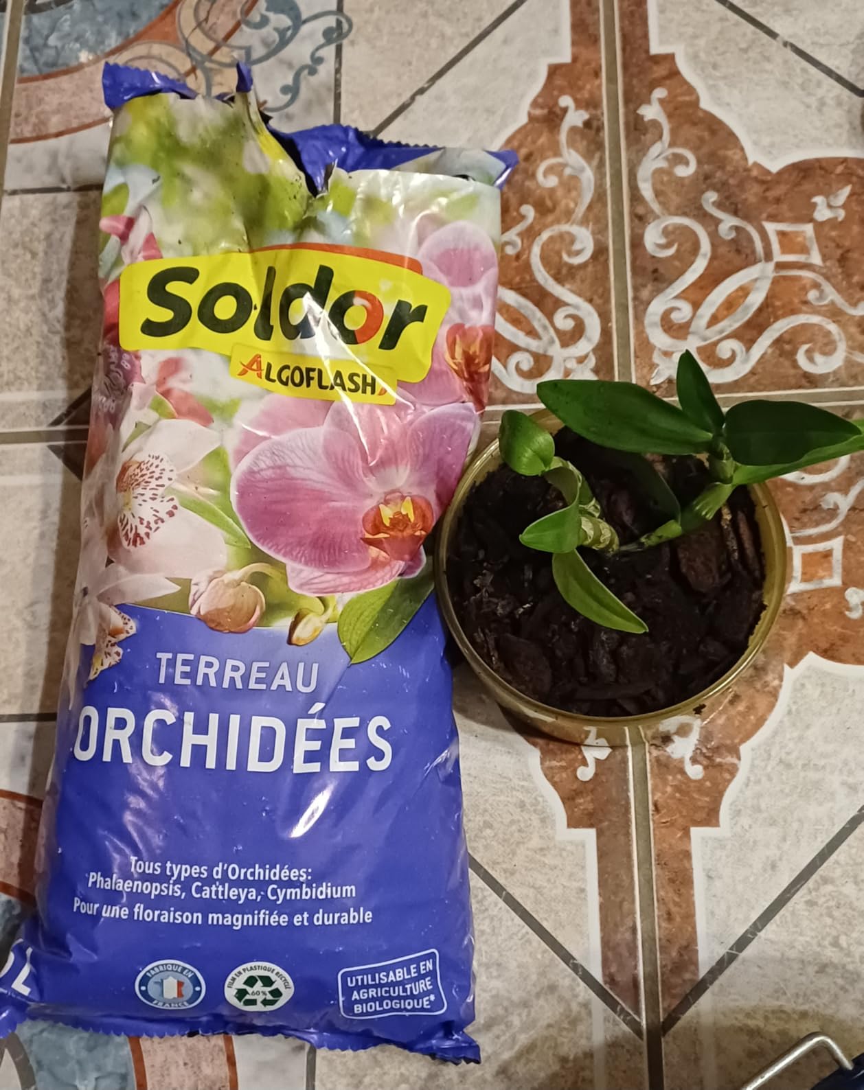Bon substrat spécial orchidées
