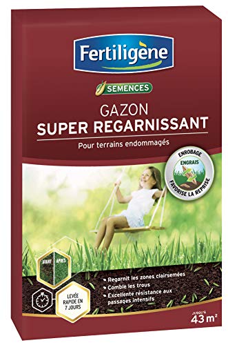 fertilig-ne-gazon-super-regarnissant-5-kg-pour-250-m image 8