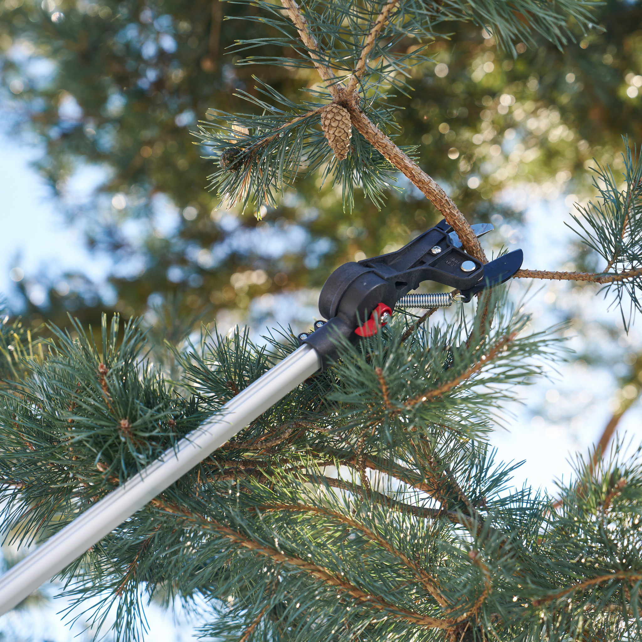 felco-290-coupe-branches-t-lescopique-perche image 4