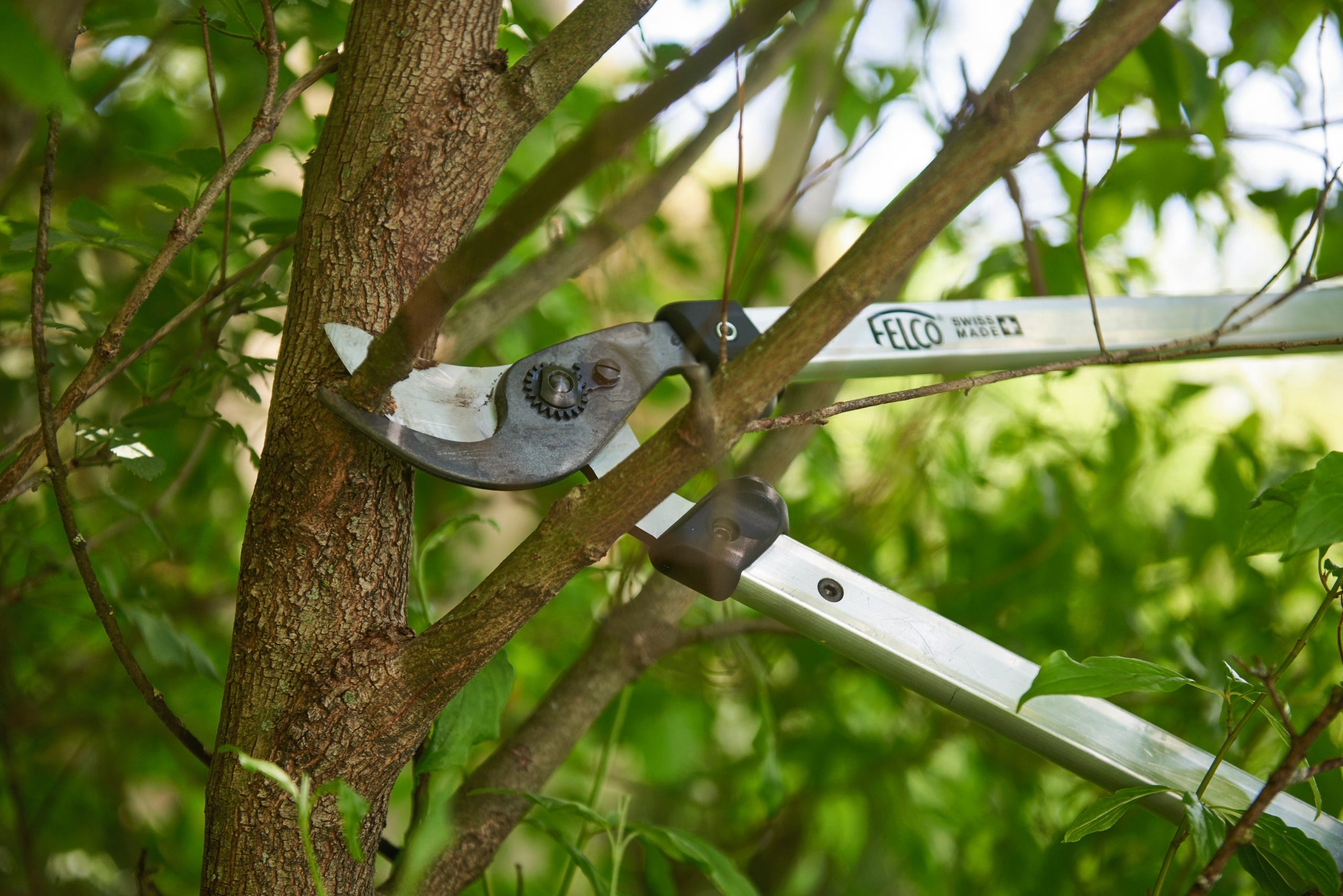 felco-kit-jardinier-expert-s-cateur-felco-6-scie-felco-602 image 3